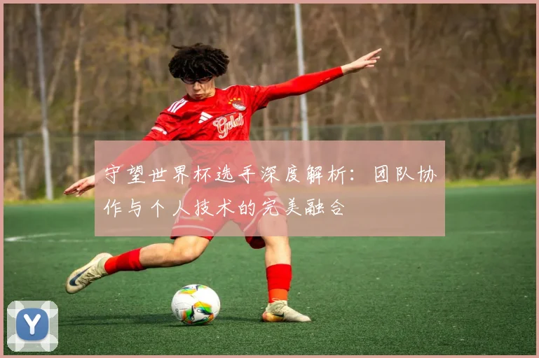 守望世界杯选手深度解析：团队协作与个人技术的完美融合