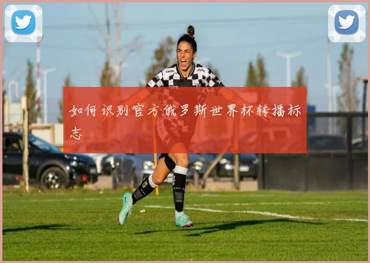 如何识别官方俄罗斯世界杯转播标志