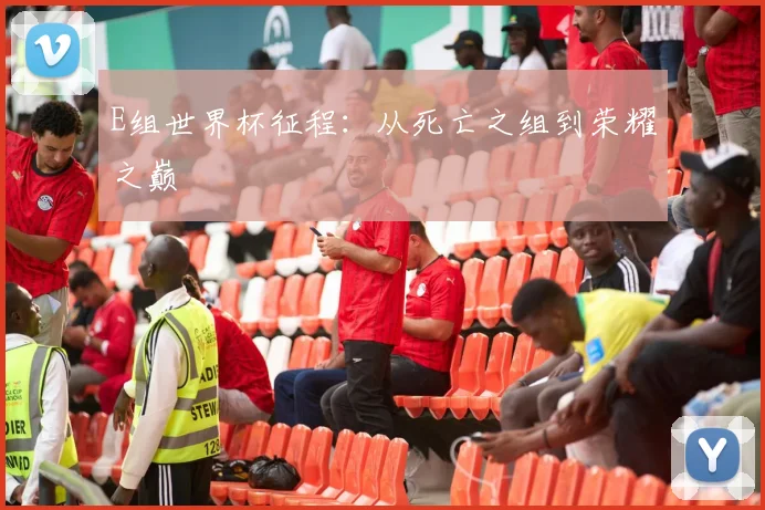 E组世界杯征程：从死亡之组到荣耀之巅