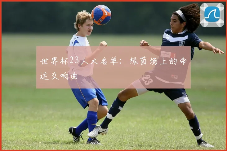 世界杯23人大名单：绿茵场上的命运交响曲