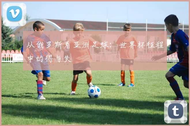 从俄罗斯看亚洲足球：世界杯征程中的得与失