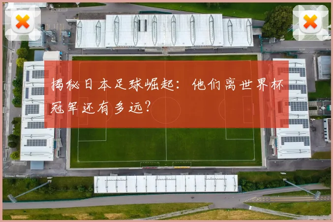揭秘日本足球崛起：他们离世界杯冠军还有多远？