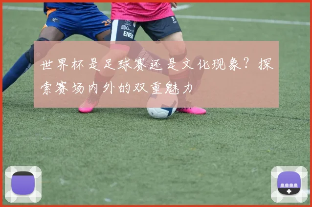 世界杯是足球赛还是文化现象?探索赛场内外的双重魅力