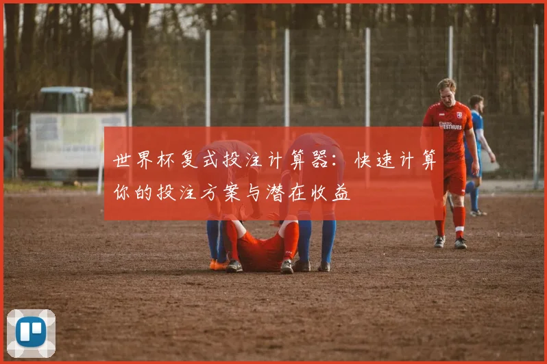 世界杯复式投注计算器:快速计算你的投注方案与潜在收益
