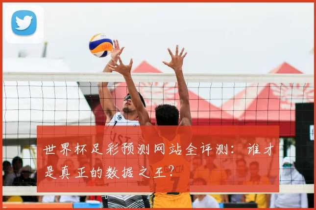 世界杯足彩预测网站全评测:谁才是真正的数据之王?