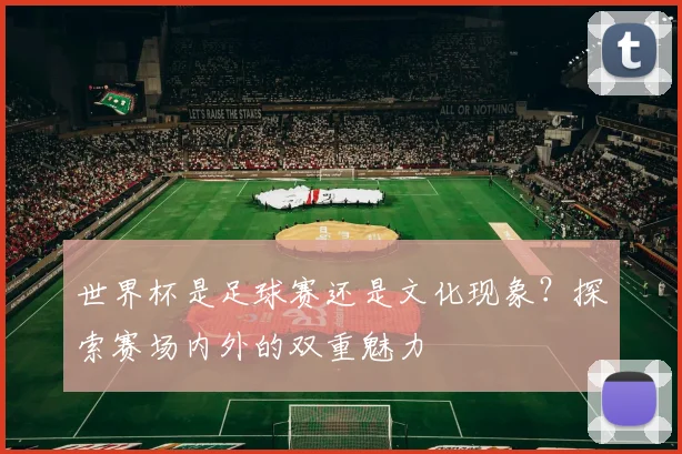 世界杯是足球赛还是文化现象?探索赛场内外的双重魅力
