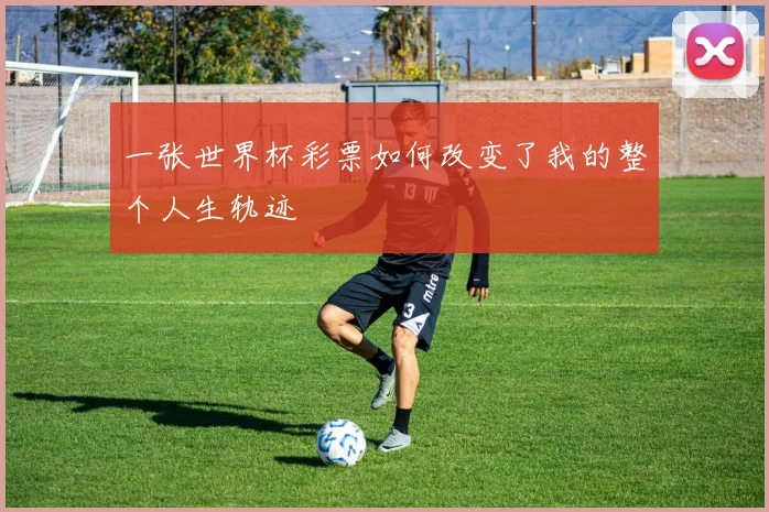 一张世界杯彩票如何改变了我的整个人生轨迹