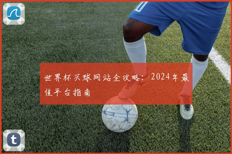 世界杯买球网站全攻略:2024年最佳平台指南