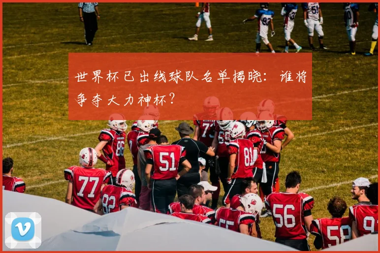 世界杯已出线球队名单揭晓:谁将争夺大力神杯?