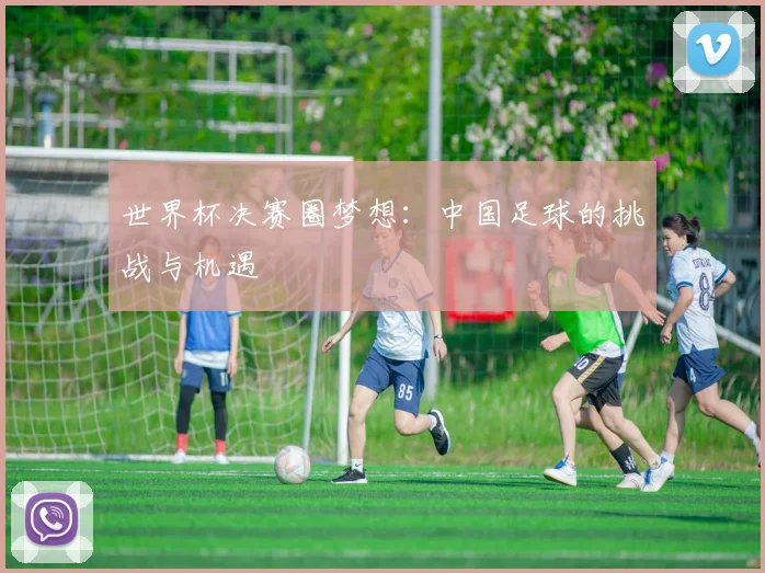 世界杯决赛圈梦想:中国足球的挑战与机遇