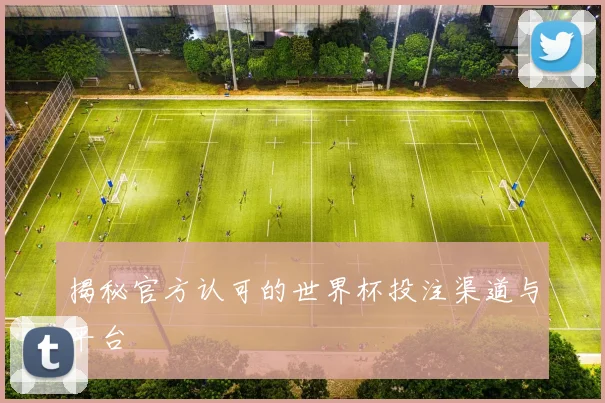 揭秘官方认可的世界杯投注渠道与平台