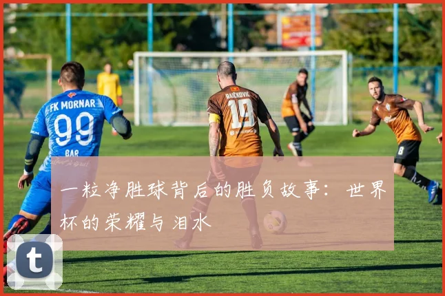 一粒净胜球背后的胜负故事:世界杯的荣耀与泪水