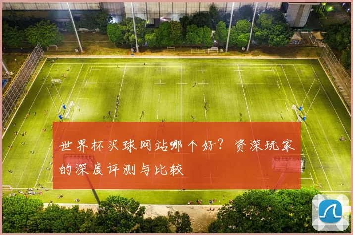 世界杯买球网站哪个好?资深玩家的深度评测与比较