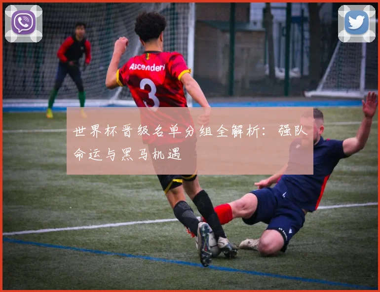 世界杯晋级名单分组全解析:强队命运与黑马机遇