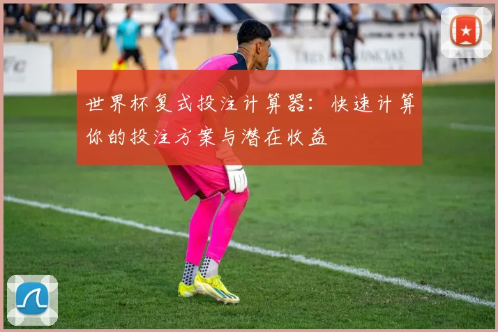 世界杯复式投注计算器:快速计算你的投注方案与潜在收益