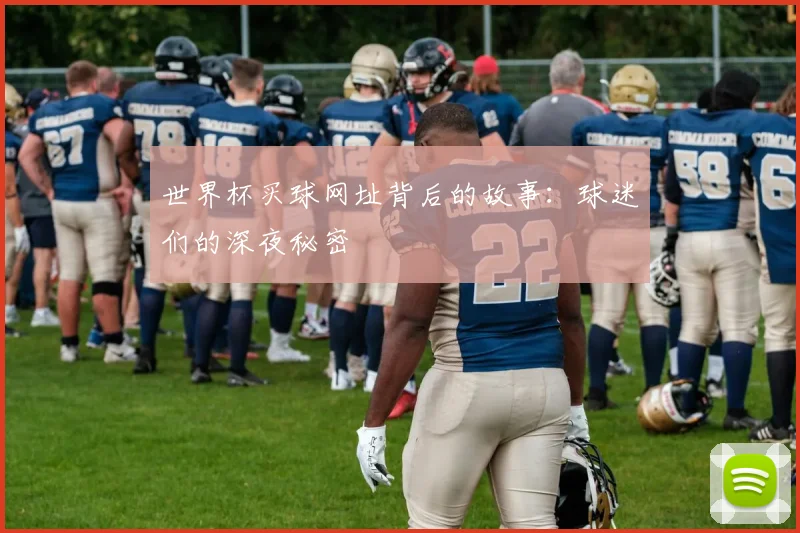 世界杯买球网址背后的故事:球迷们的深夜秘密