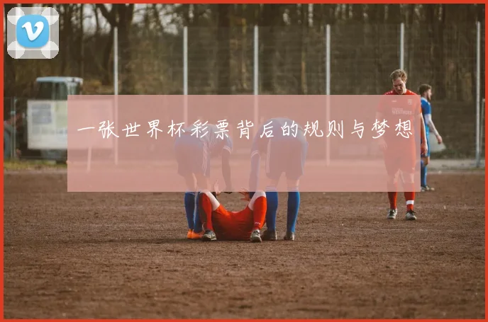 一张世界杯彩票背后的规则与梦想