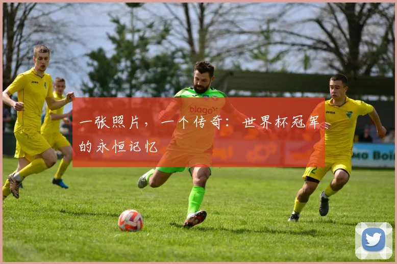 一张照片，一个传奇：世界杯冠军的永恒记忆