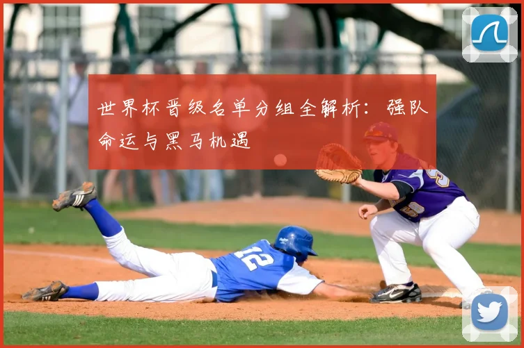 世界杯晋级名单分组全解析：强队命运与黑马机遇
